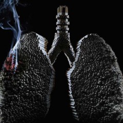 Il n'y a pas fumar.....  Le revenu généré par les taxes sur le tabac (un paquet de cigarette est taxé par l'État français à hauteur de 80 %) est d'environ …  at Gaul (Latin: Gallia) was a region of Western Europe during the Iron Age and Roman era, encompa