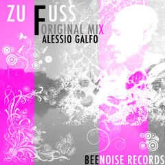 ZU FUSS ORIGINAL MIX original mix ..:out now on beatport:..
