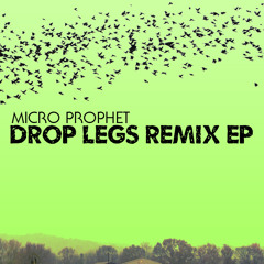 Micro Prophet - Watch Em Come (BOTNEK Remix)