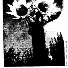 The Four Winds