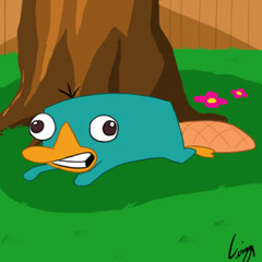 Regresa Perry