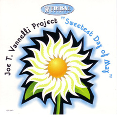 Joe T Vannelli - Sweetest Day of May [1995 Vinyl 12"]