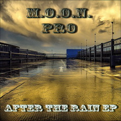 M.O.O.N. Pro - After The Rain (Donjr remix) 128 kbps (Sample)