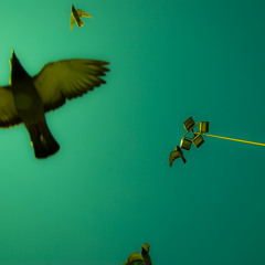 CC33 - I Used To Be A Teenage Amorphis Fan (demo version)