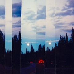 7. If These Prophecies Are True...Will You Guide Me Through?