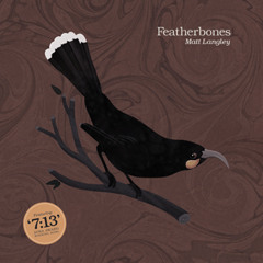 Matt Langley - Everybody Knows