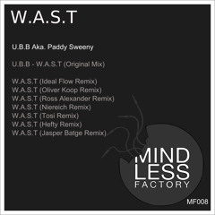 UBB - WAST ( Niereich REMIX) MP3