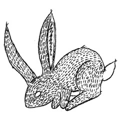 Wormwood