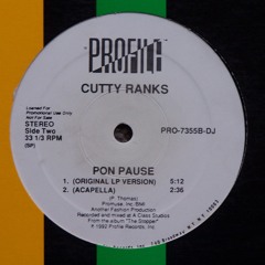 Cutty Ranks - Pon Pause (brijawi remix)