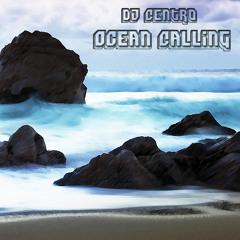 Skylar Gray - I'm Coming Home | DJ Centro Remix