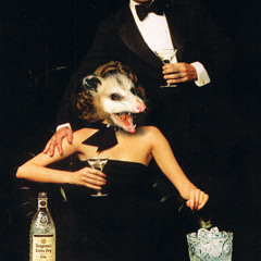 possum milk
