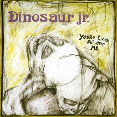Dinosaur Jr. - Show Me The Way