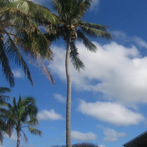 TAPATI RAPA NUI - Radio Manukena - Rapa nui