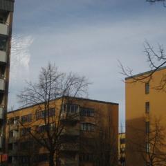 15.plant in the bathtube day 15