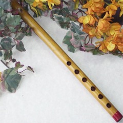 A Medieval Flute Something ;)