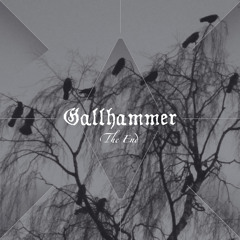 Gallhammer - The End (album teaser)
