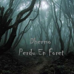 Dhermo _ Perdu en Forêt