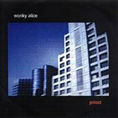 WONKY ALICE - insect eyes