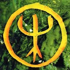 Deep Forest (The Wise One bootleg)