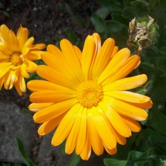 MarKankurua Merecemos