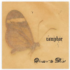 Camphor - The Sweetest Tooth (Friendly Fire Recordings)