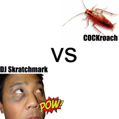 DJ Skratchmark vs Cockroach