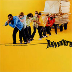 Popular Inquiries Into Everyday Disasters