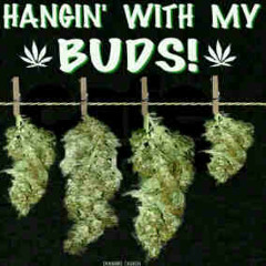 Stackz ft Kaper - In The Greenhouse