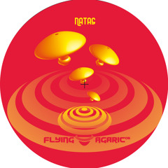 FLYING AGARIC 06 - NATAS - Stuck in the darkness (Extrait)