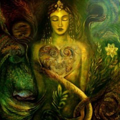 Toad's Acid Song (Wild Part)