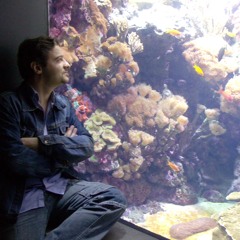 LUCENZO - BAILA MORENA (JAY LION REMIX)