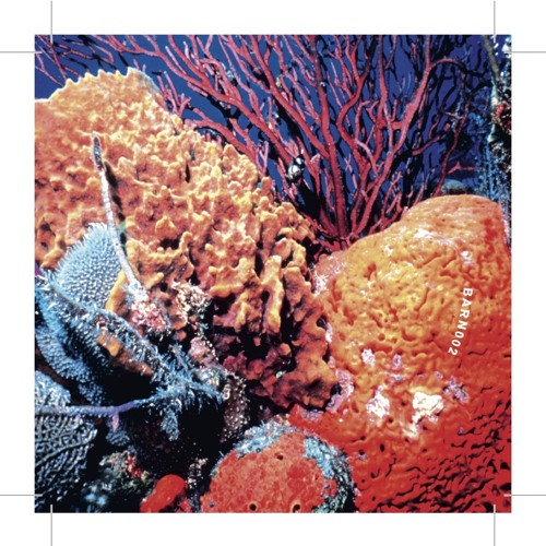 BARN 002 B3. It's vinter, Welcome to Sweden