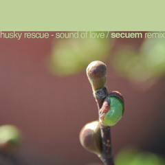 Husky Rescue - Sound Of Love (Secuem REMIX)
