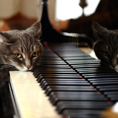 Sectets - Piano Mix Full