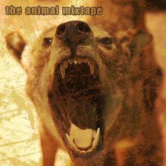 (The NOC- Thieves) Black Star- Thieves in the Night remix