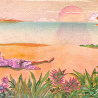 Waxist | Brasil Spins