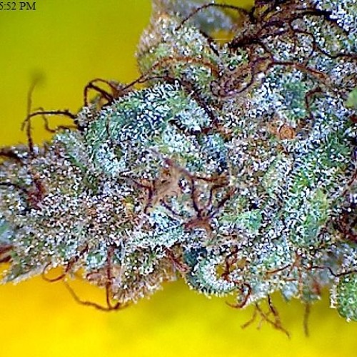 YOTO - There She Go FT. MC Astro