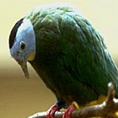 Edam Edam - Don't Ever Ask Me If I'm Fine ('cause I'm Not)