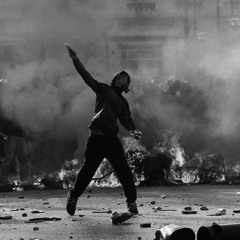 Rioting Birds (Birdy Nam Nam Remix)