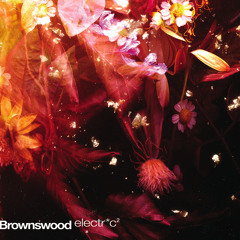 Brownswood electr*c 2 // Album Teaser