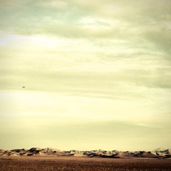 Desierto - By David J(Bauhaus,Love and Rockets) and Pepe Mogt(Nortec, Fussible)