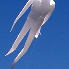 Conjuring Ethereal Spirits Alone in Ancient Forests