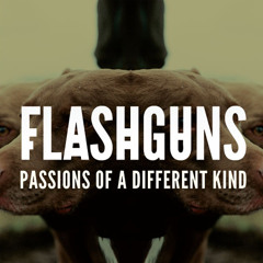 Flashguns - Passions Of A Different Kind (Patrick H. Kowalewski Remix)