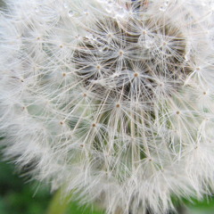 OneRepublic feat Sanji - Good Life (remix)