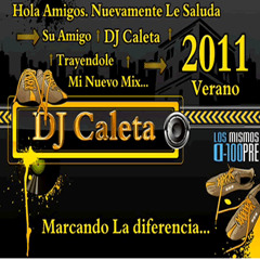 DJ Caleta - Top Mix Reggaeton 2011 Buenazo (DJ Caleta Peru 2011)