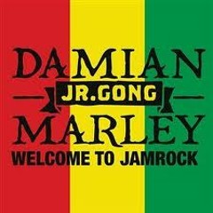 Damien Marley - Welcome to Jamrock (Degree Z Remix) Master