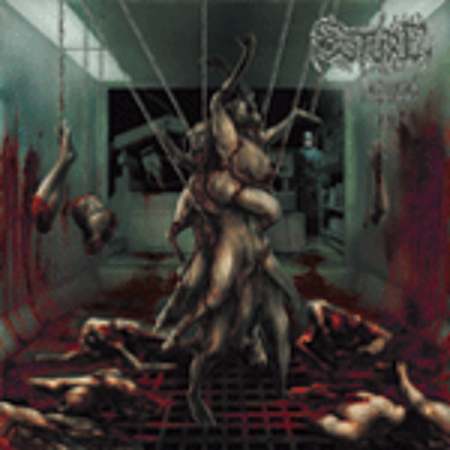 Suture - Divinity's End