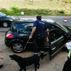 Contrôle des douanes