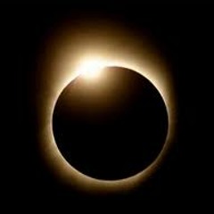 Esprit Divergent - Rare de -