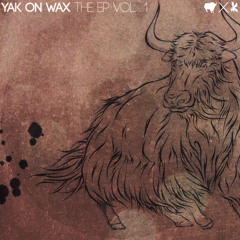 B'ZWAX - Tuning Steel (YLYK)